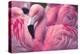 Chilean Flamingo-Jeff McGraw-Premier Image Canvas