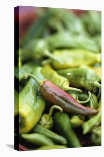 Chili Peppers at Market-Stuart Westmorland-Premier Image Canvas