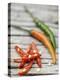 Chili Peppers, Whole and Sliced-Winfried Heinze-Premier Image Canvas