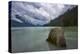 Chilkoot Lake in Elegant Tranquility-fmcginn-Premier Image Canvas