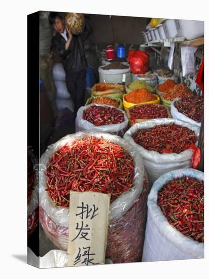 Chilli Peppers and Spices on Sale in Wuhan, Hubei Province, China-Andrew Mcconnell-Premier Image Canvas