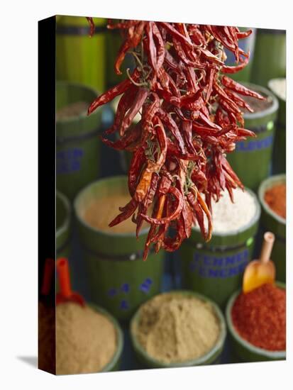 Chillies in Spice Market, Istanbul, Turkey, Europe-Sakis Papadopoulos-Premier Image Canvas