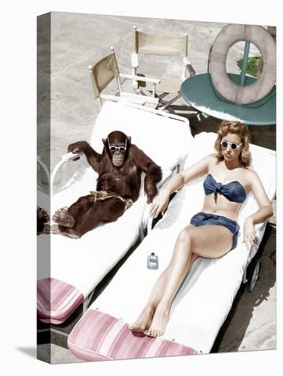 Chimpanzee and a Woman Sunbathing-null-Stretched Canvas