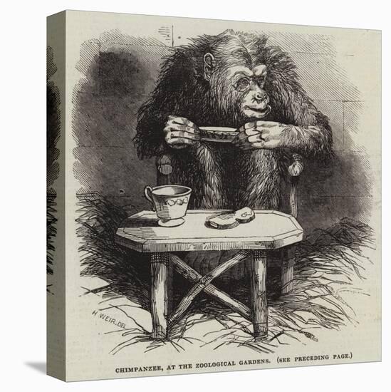 Chimpanzee, at the Zoological Gardens-Harrison William Weir-Premier Image Canvas