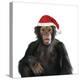 Chimpanzee Showing Lips 'Kissing' Wearing Christmas Hat-null-Premier Image Canvas