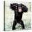 Chimpanzee Young, with Arms on Head-null-Premier Image Canvas