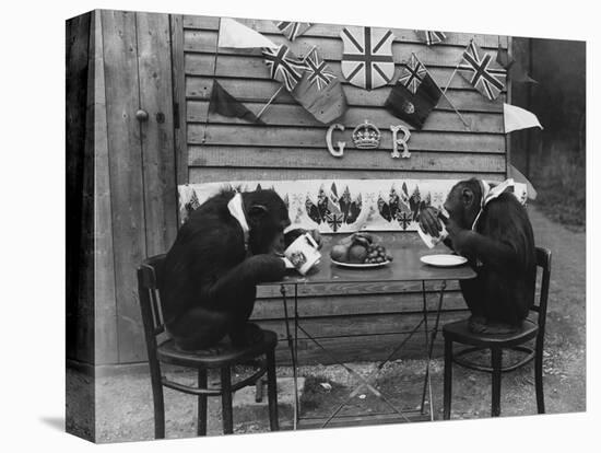 Chimps' Tea Party-null-Premier Image Canvas