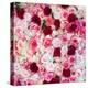 China 10MKm2 Collection - 1001 Roses-Philippe Hugonnard-Premier Image Canvas