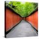 China 10MKm2 Collection - Alley Bamboo-Philippe Hugonnard-Premier Image Canvas