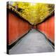 China 10MKm2 Collection - Alley Bamboo-Philippe Hugonnard-Premier Image Canvas