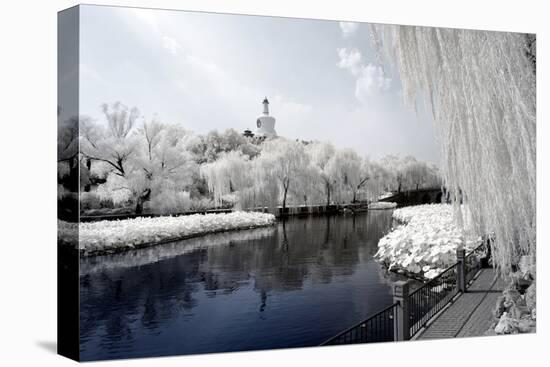 China 10MKm2 Collection - Another Look - Lotus Lake-Philippe Hugonnard-Premier Image Canvas