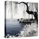 China 10MKm2 Collection - Another Look - Lotus Lake-Philippe Hugonnard-Premier Image Canvas