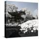 China 10MKm2 Collection - Another Look - Lotus Lake-Philippe Hugonnard-Premier Image Canvas