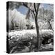 China 10MKm2 Collection - Another Look - Lotus Park-Philippe Hugonnard-Premier Image Canvas