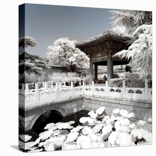 China 10MKm2 Collection - Another Look - Lotus Temple-Philippe Hugonnard-Premier Image Canvas
