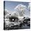 China 10MKm2 Collection - Another Look - Park Temple-Philippe Hugonnard-Premier Image Canvas