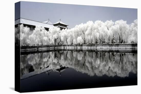 China 10MKm2 Collection - Another Look - Reflections-Philippe Hugonnard-Premier Image Canvas