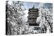 China 10MKm2 Collection - Another Look - Summer Palace-Philippe Hugonnard-Premier Image Canvas