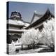 China 10MKm2 Collection - Another Look - Summer Palace-Philippe Hugonnard-Premier Image Canvas