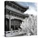 China 10MKm2 Collection - Another Look - Summer Palace-Philippe Hugonnard-Premier Image Canvas