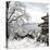 China 10MKm2 Collection - Another Look - Summer Palace-Philippe Hugonnard-Premier Image Canvas