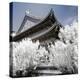 China 10MKm2 Collection - Another Look - Summer Palace-Philippe Hugonnard-Premier Image Canvas