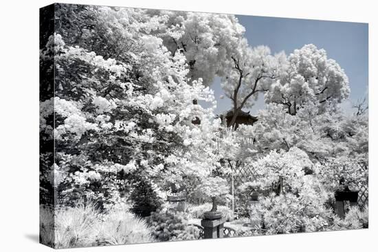 China 10MKm2 Collection - Another Look - White Forest-Philippe Hugonnard-Premier Image Canvas