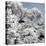 China 10MKm2 Collection - Another Look - White Forest-Philippe Hugonnard-Premier Image Canvas