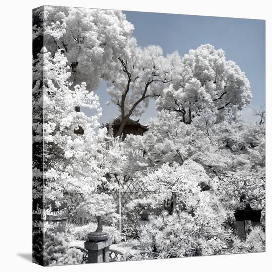 China 10MKm2 Collection - Another Look - White Forest-Philippe Hugonnard-Premier Image Canvas