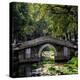 China 10MKm2 Collection - Asian Bridge-Philippe Hugonnard-Premier Image Canvas