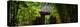 China 10MKm2 Collection - Bamboo Forest-Philippe Hugonnard-Premier Image Canvas