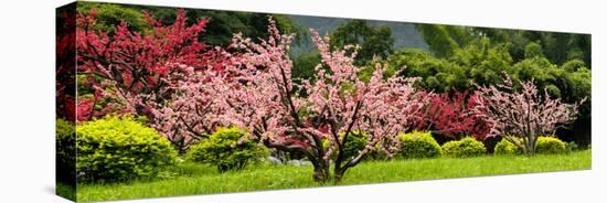 China 10MKm2 Collection - Beautiful Asian Garden-Philippe Hugonnard-Premier Image Canvas