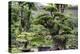 China 10MKm2 Collection - Bonsai Trees-Philippe Hugonnard-Premier Image Canvas