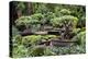 China 10MKm2 Collection - Bonsai Trees-Philippe Hugonnard-Premier Image Canvas