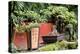 China 10MKm2 Collection - Bonsai Trees-Philippe Hugonnard-Premier Image Canvas