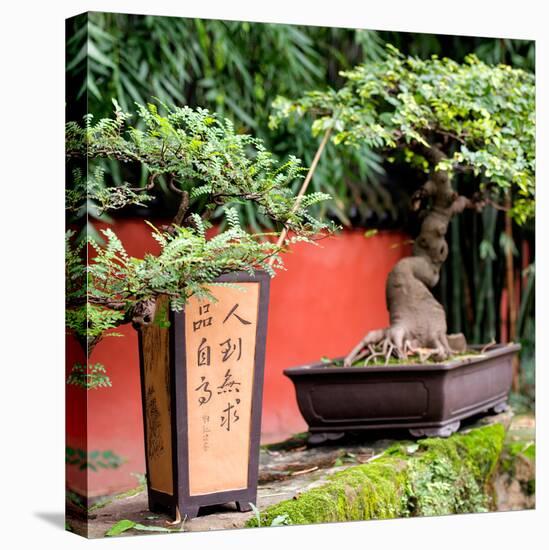 China 10MKm2 Collection - Bonsai Trees-Philippe Hugonnard-Premier Image Canvas