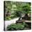 China 10MKm2 Collection - Bonsai Trees-Philippe Hugonnard-Premier Image Canvas