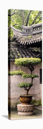 China 10MKm2 Collection - Bonsai-Philippe Hugonnard-Premier Image Canvas