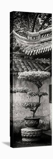 China 10MKm2 Collection - Bonsai-Philippe Hugonnard-Premier Image Canvas