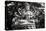 China 10MKm2 Collection - Buddhist Statue-Philippe Hugonnard-Premier Image Canvas