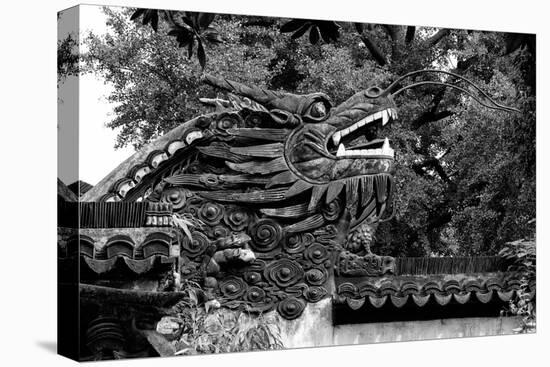 China 10MKm2 Collection - Chinese Dragon Head-Philippe Hugonnard-Premier Image Canvas