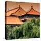 China 10MKm2 Collection - Forbidden City Architecture - Beijing-Philippe Hugonnard-Premier Image Canvas