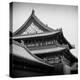 China 10MKm2 Collection - Forbidden City Architecture - Beijing-Philippe Hugonnard-Premier Image Canvas