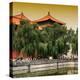 China 10MKm2 Collection - Forbidden City Architecture - Beijing-Philippe Hugonnard-Premier Image Canvas