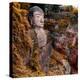 China 10MKm2 Collection - Giant Buddha of Leshan in Autumn-Philippe Hugonnard-Premier Image Canvas