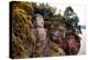 China 10MKm2 Collection - Giant Buddha of Leshan-Philippe Hugonnard-Premier Image Canvas