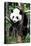 China 10MKm2 Collection - Giant Panda Baby-Philippe Hugonnard-Premier Image Canvas