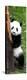 China 10MKm2 Collection - Giant Panda Baby-Philippe Hugonnard-Premier Image Canvas