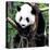 China 10MKm2 Collection - Giant Panda Baby-Philippe Hugonnard-Premier Image Canvas