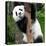 China 10MKm2 Collection - Giant Panda Baby-Philippe Hugonnard-Premier Image Canvas